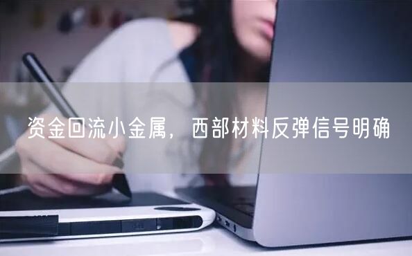 资金回流小金属，西部材料反弹信号明确