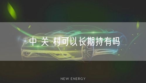 中 关 村可以长期持有吗