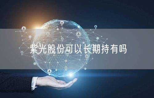 紫光股份可以长期持有吗