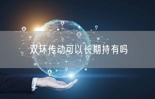 双环传动可以长期持有吗