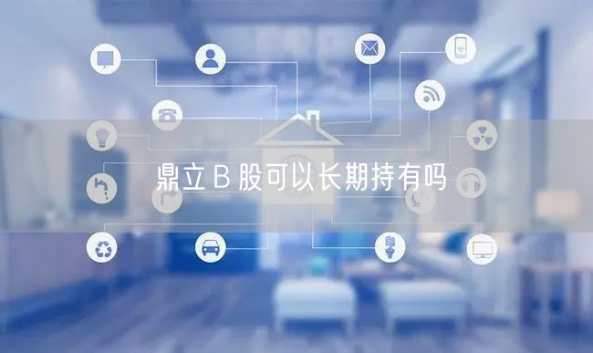 鼎立Ｂ股可以长期持有吗