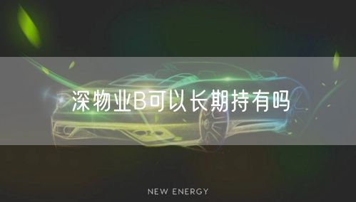 深物业B可以长期持有吗
